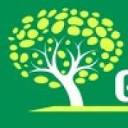 Green Olive Tree Pte. Ltd.