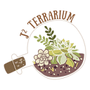 J2 Terrarium | J2 Studio & Workshop