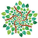 Star Learning Hub
